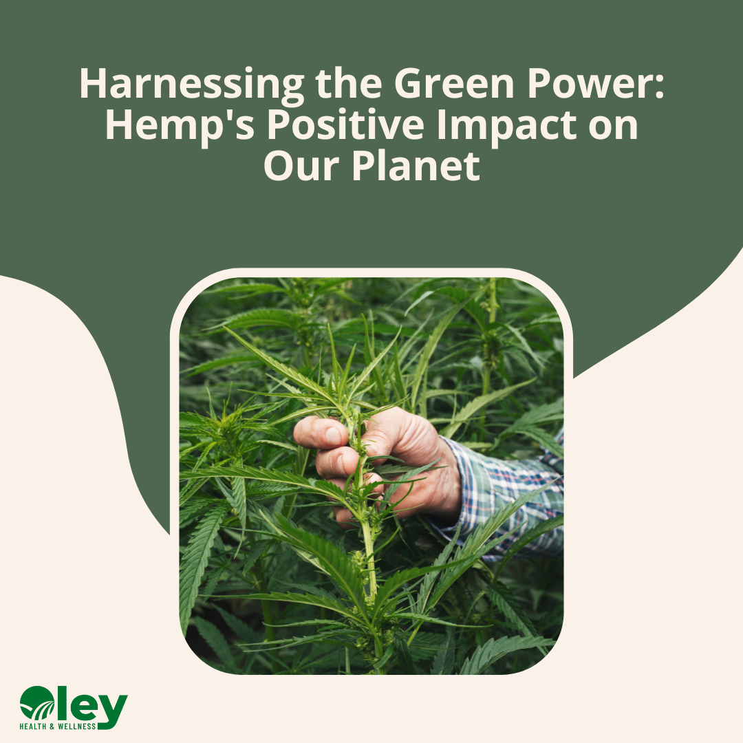 Hemp's Positive Impact on Our Planet - Oley Health and Wellness