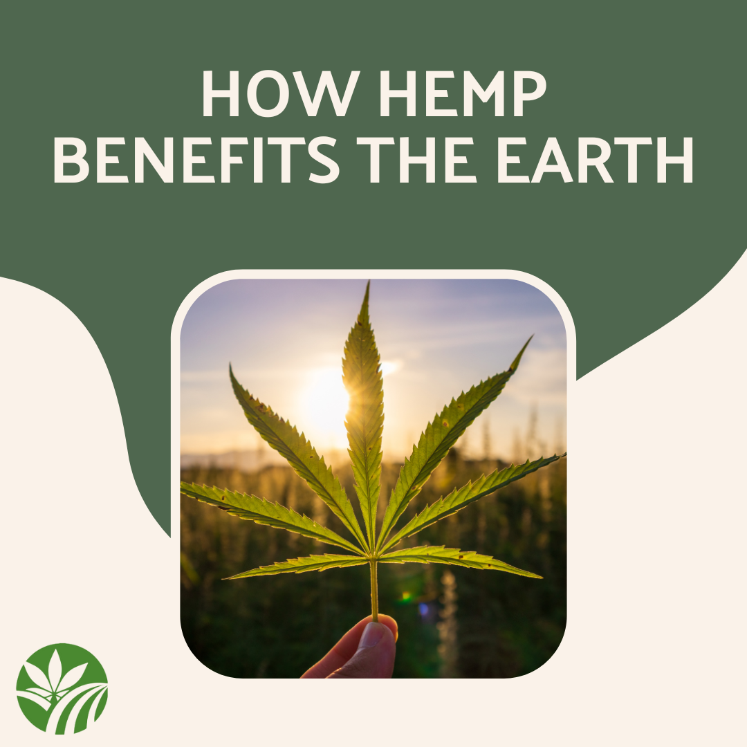 How Hemp Benefits the Earth - Oley Hemp
