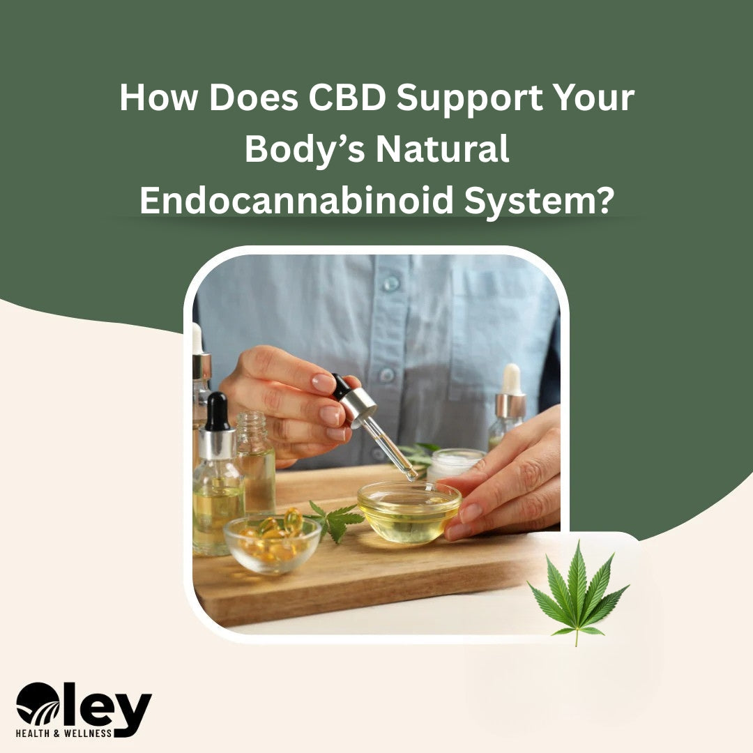 How Does CBD Support Your Body’s Natural Endocannabinoid System?