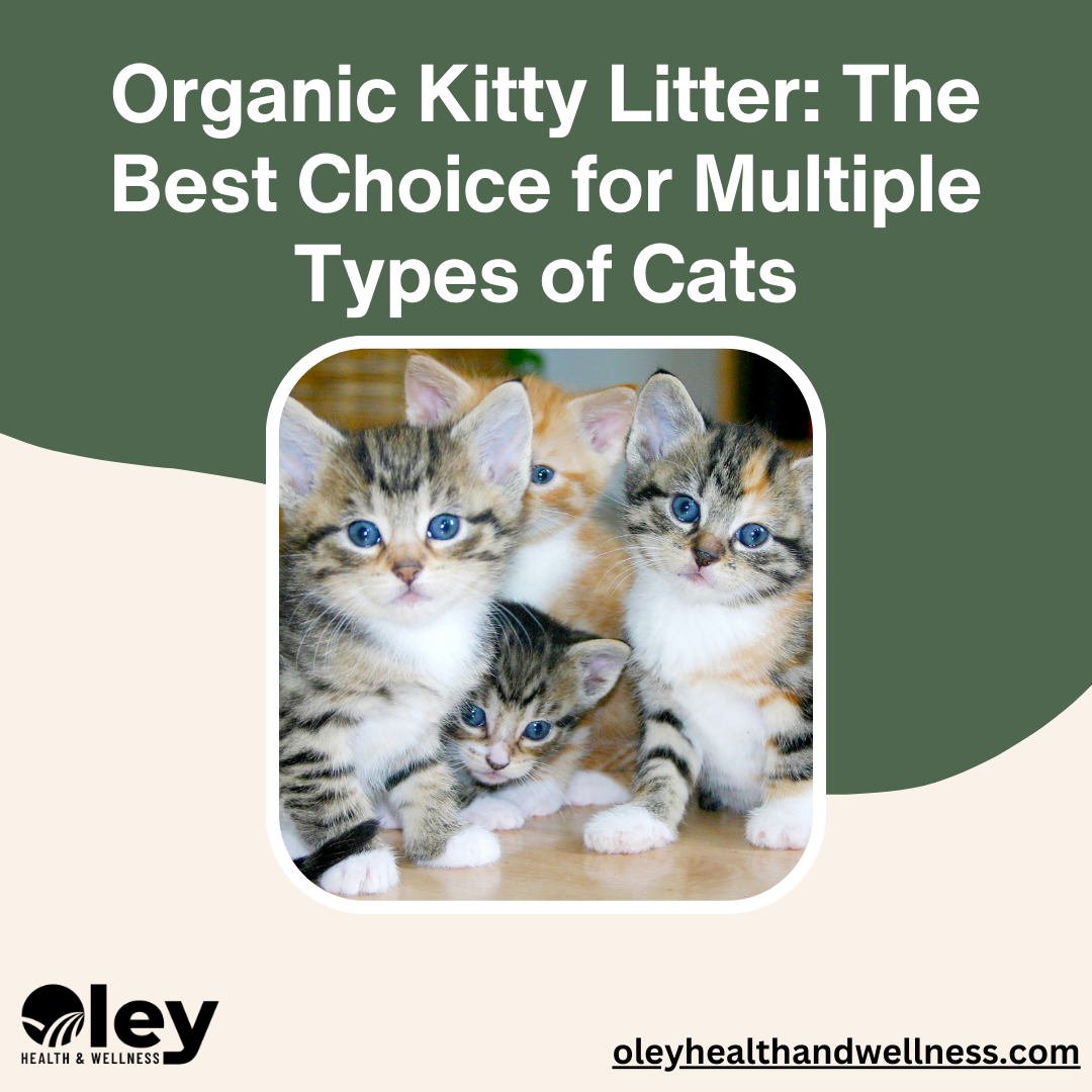 Organic Kitty Litter: The Best Choice for Multiple Types of Cats
