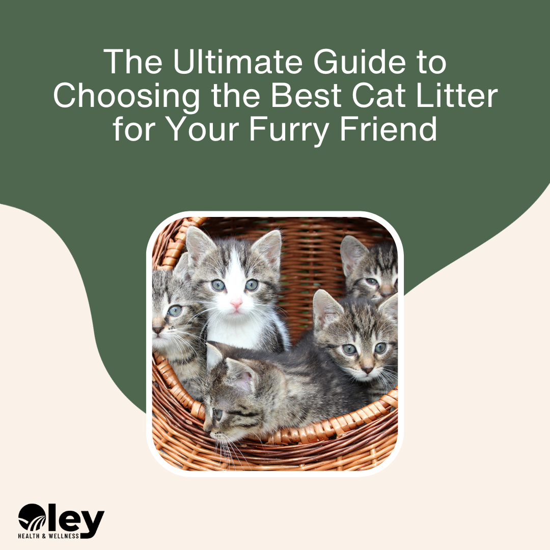 Choosing the Best Cat Litter for Your Furry Friend - Oley Health and Wellness