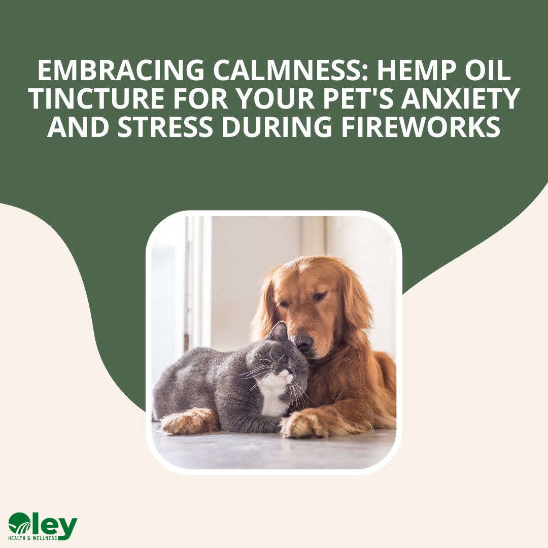 Embracing Calmness: Hemp Oil Tincture for Your Pet's Anxiety and Stress during Fireworks - Oley Health and Wellness