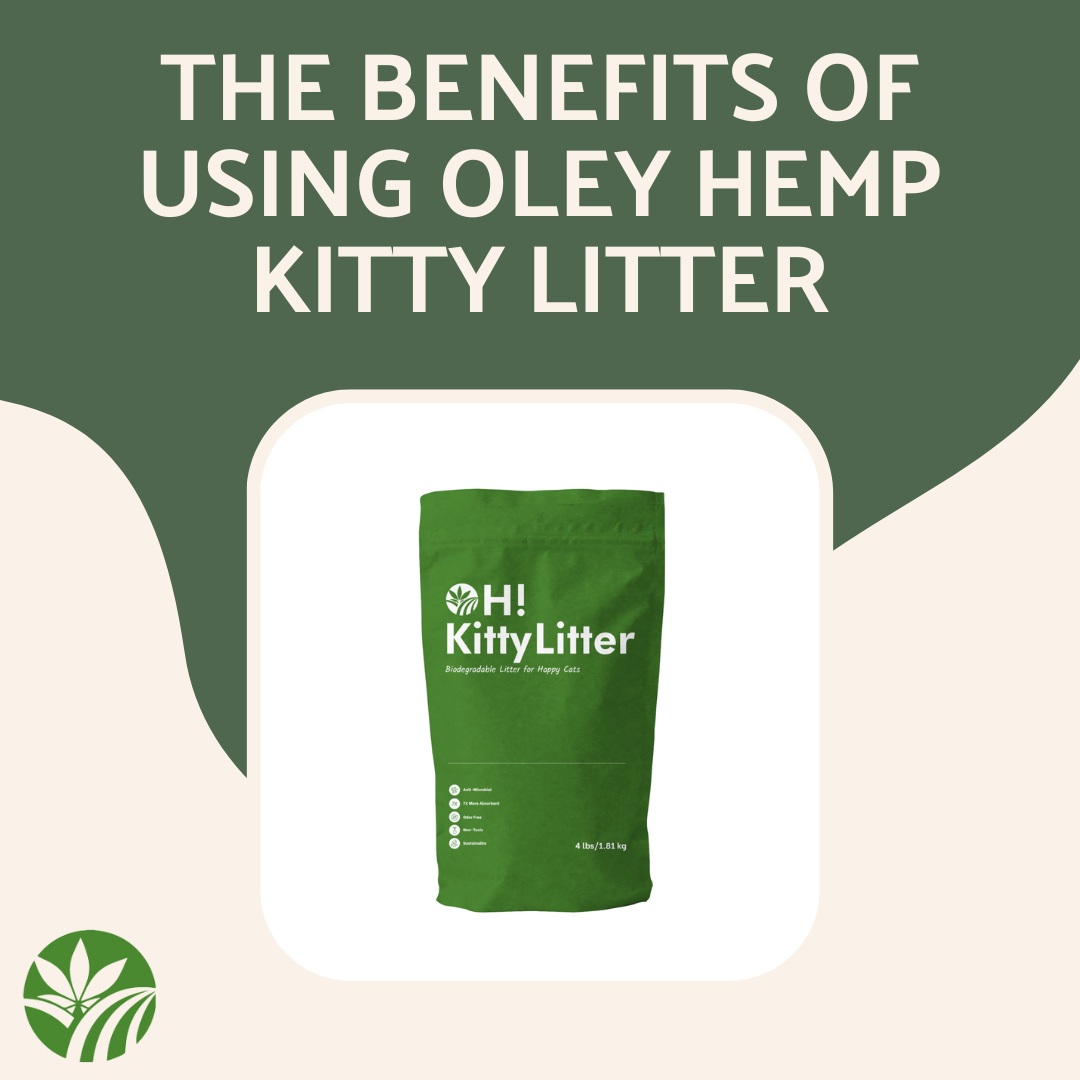 The Benefits of Using Hemp-Based Kitty Litter - Oley Hemp
