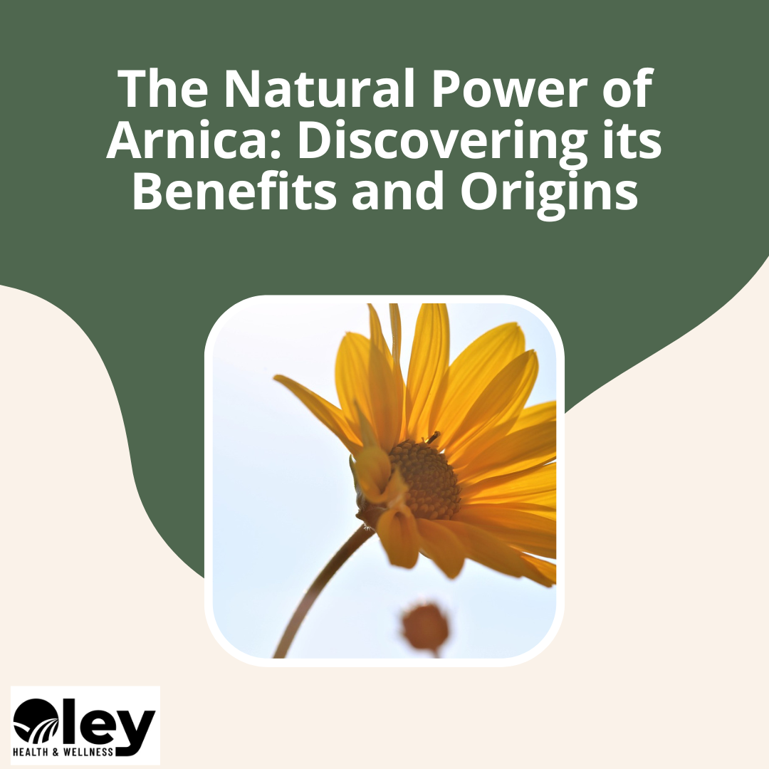 The Natural Power of Arnica: Discovering its Benefits and Origins - CBD Salve with Arnica - 1800mg - Oley Health and Wellness
