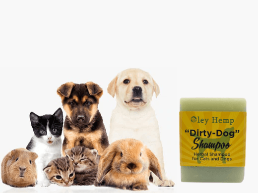 Why use an Organic Dog Shampoo - Oley Hemp