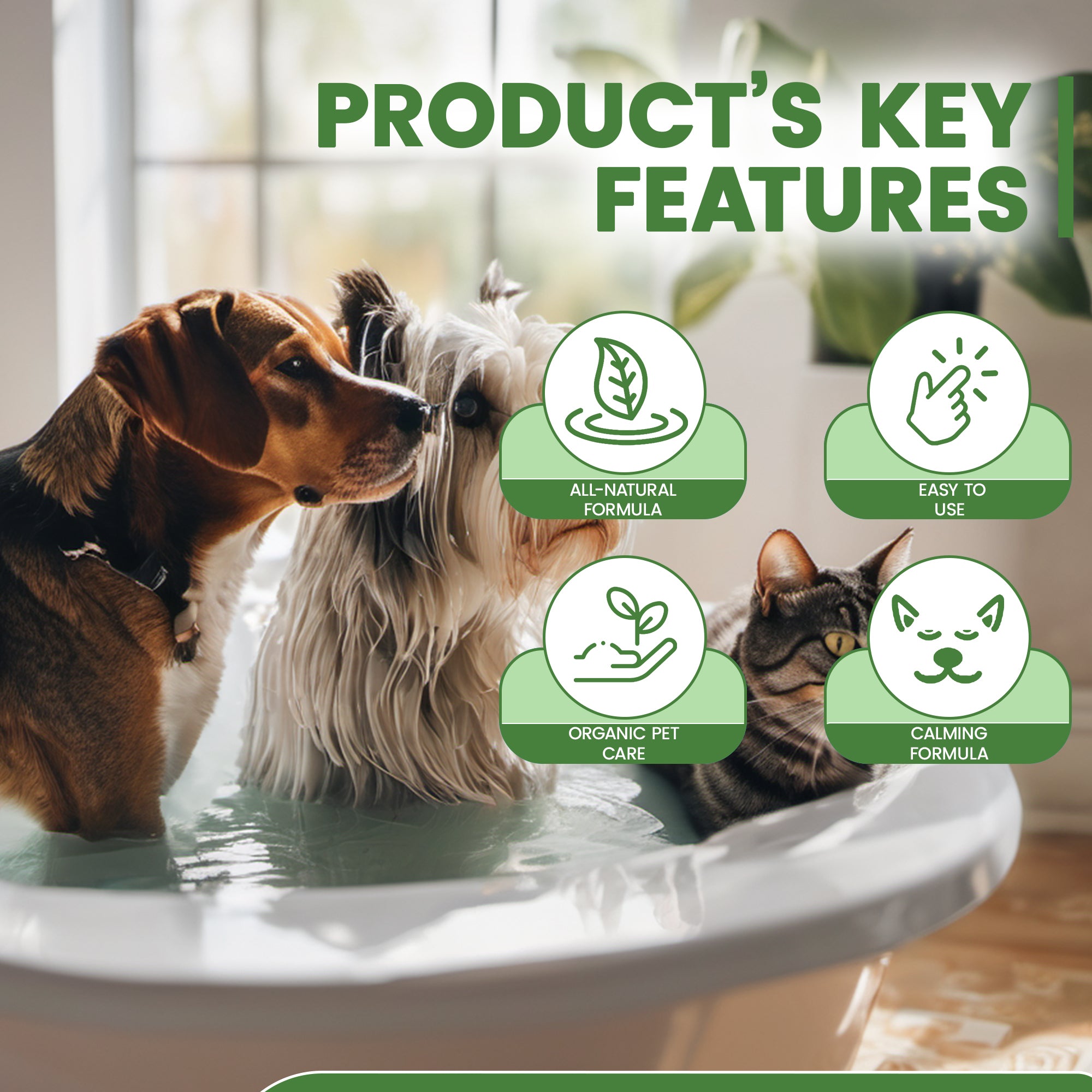 Premium Organic Pet Care Products Oley Health Wellness