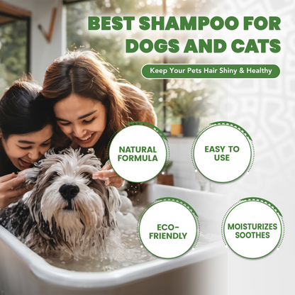 Best Pet Shampoo for Cats and Dogs